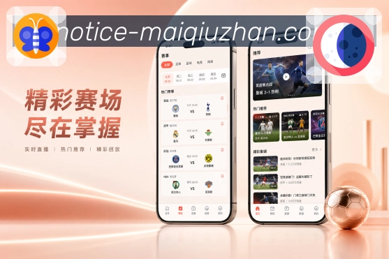 买球站 APP 下载展示图
